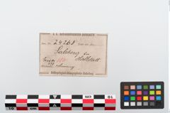 Etiketten zu Bronzearmreif (NHMW-PRAE-024268)